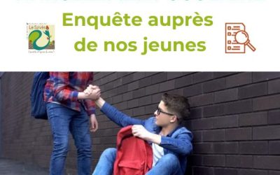 Enquête cyber-harcèlement