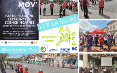 Nos jeunes participent à une expérience de science incarnée unique au monde